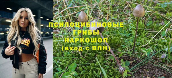 спиды Переславль-Залесский
