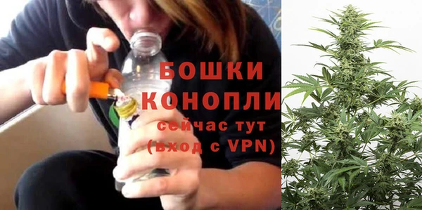 ГАЛЛЮЦИНОГЕННЫЕ ГРИБЫ Новозыбков