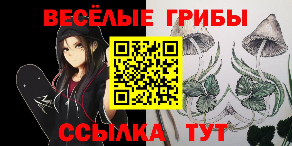как найти   Галлюциногенные грибы GOLDEN TEACHER  Вход с VPN  Ейск 