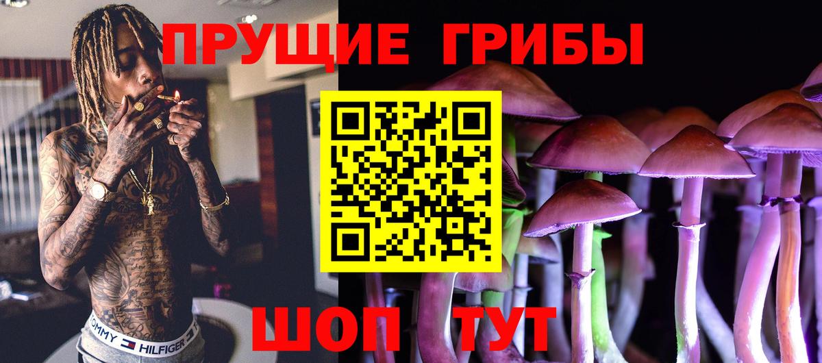 Псилоцибиновые грибы прущие грибы Ейск