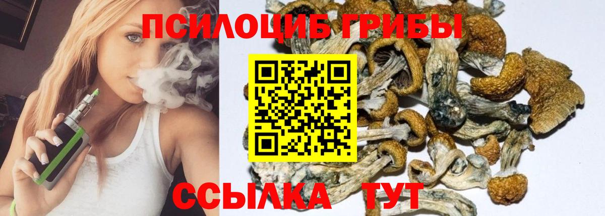 Псилоцибиновые грибы GOLDEN TEACHER Ейск